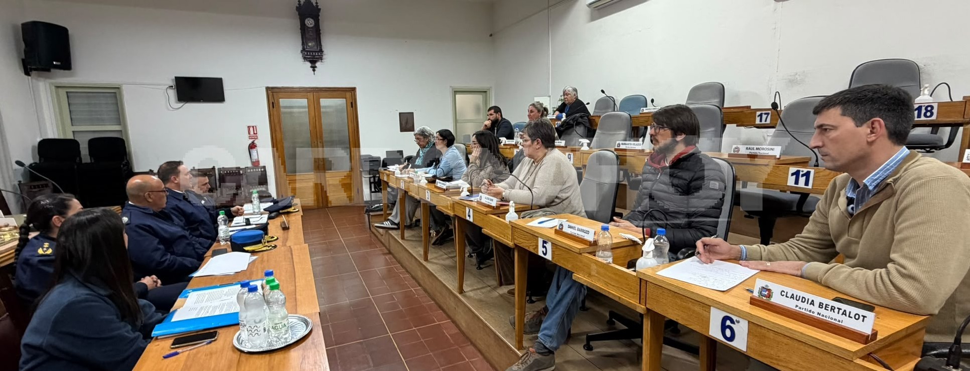 Animales sueltos en Mercedes y rutas llevan a la Junta de Soriano a mantener abierto el análisis de medidas