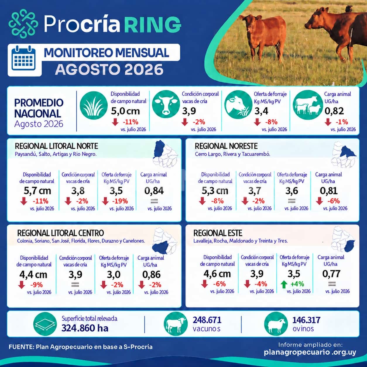 Plan Agropecuario amplía el monitoreo ganadero con datos técnicos de más de 800 predios — imagen 2