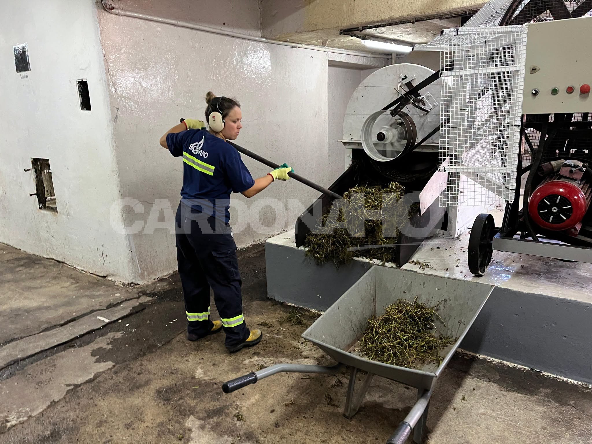Soriano invertirá $ 6.518.112 en el fortalecimiento de la Bodega Mauá — imagen 2