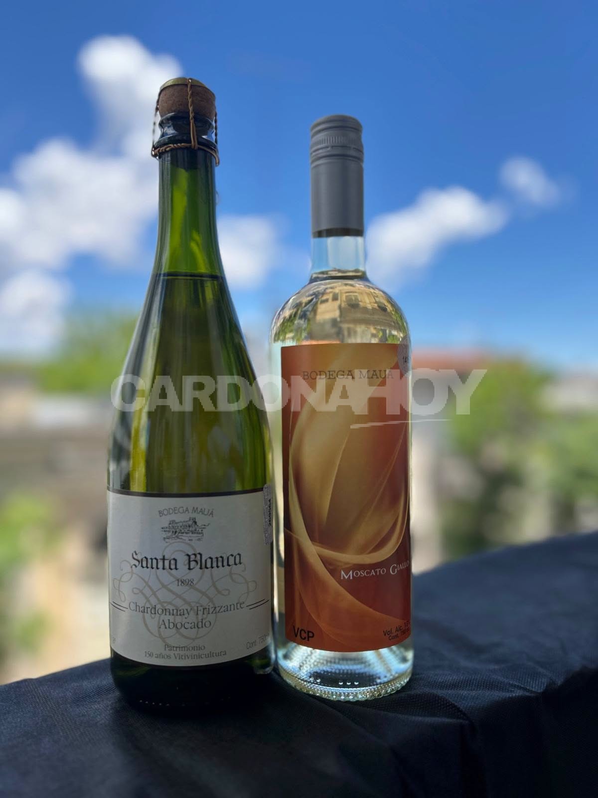 Soriano invertirá $ 6.518.112 en el fortalecimiento de la Bodega Mauá — imagen 1
