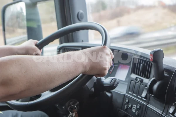 Colonia abre hoy un registro para contratar transporte con chofer destinado a trabajos de Obras