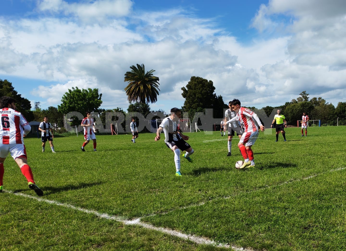Liga Mayor dejó cuatro triunfos y dos derrotas para los equipos de Cardona en la quinta fecha